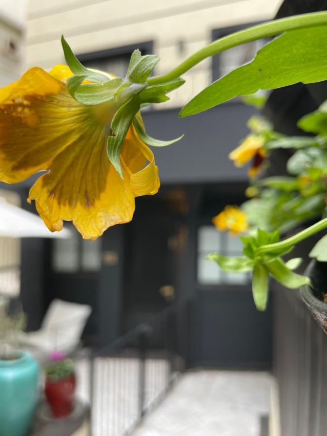 Villa Brown Tel-Aviv, A Member Of Brown Hotels Luaran gambar